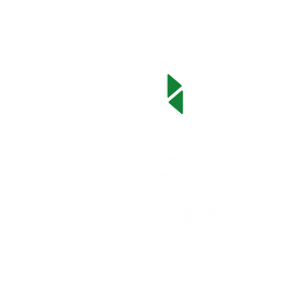 Caradonna Chemicals logistica ADR